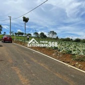 [HOT] Duy nhất còn 1 lô tại NaLi Chill - Homestay and BBQ giá bán chỉ 850TR